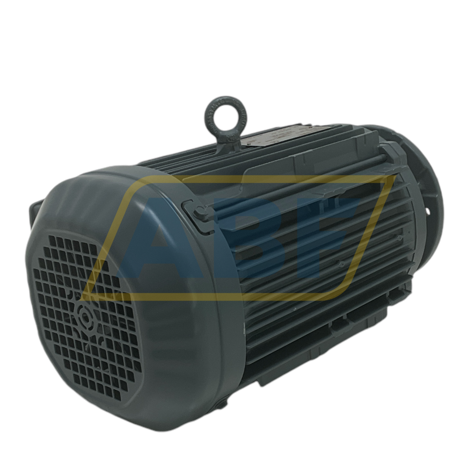 DRN100L4/FG SEW-EURODRIVE