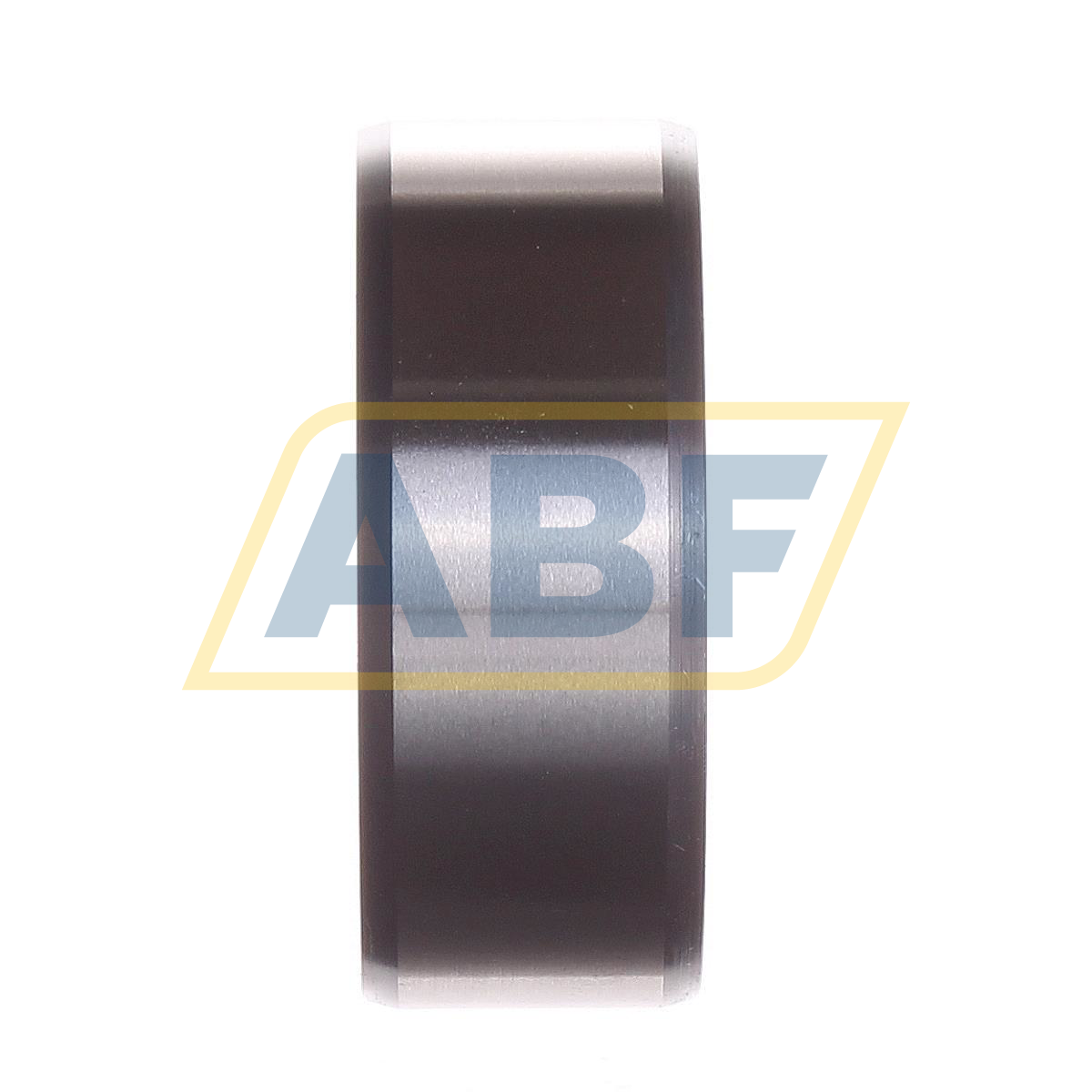 IR50X58X22-EGS INA