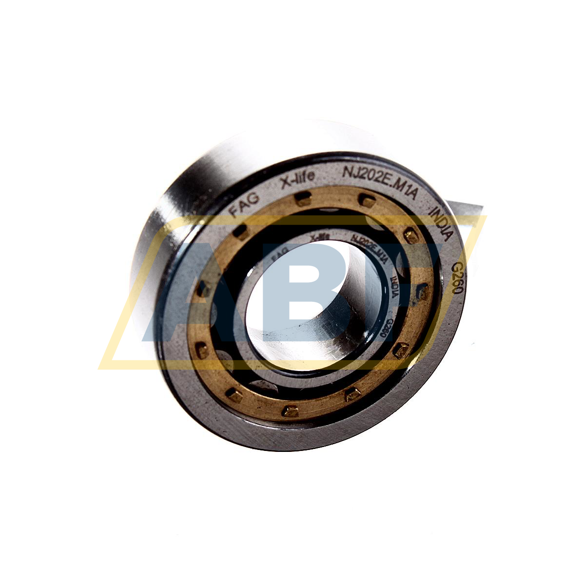 NJ202E.M1A FAG
