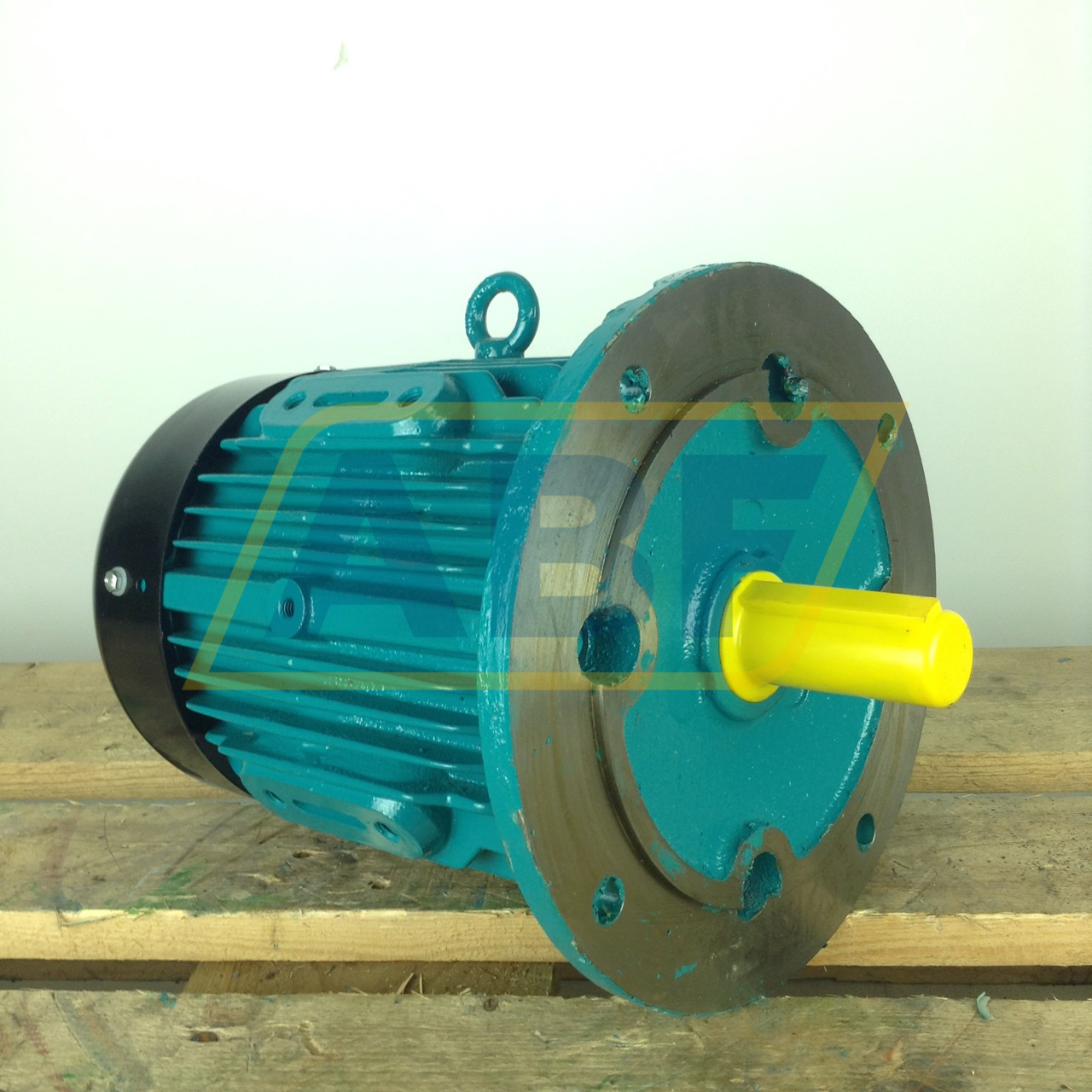 W-DF100LJ-D-B5 Brook Crompton