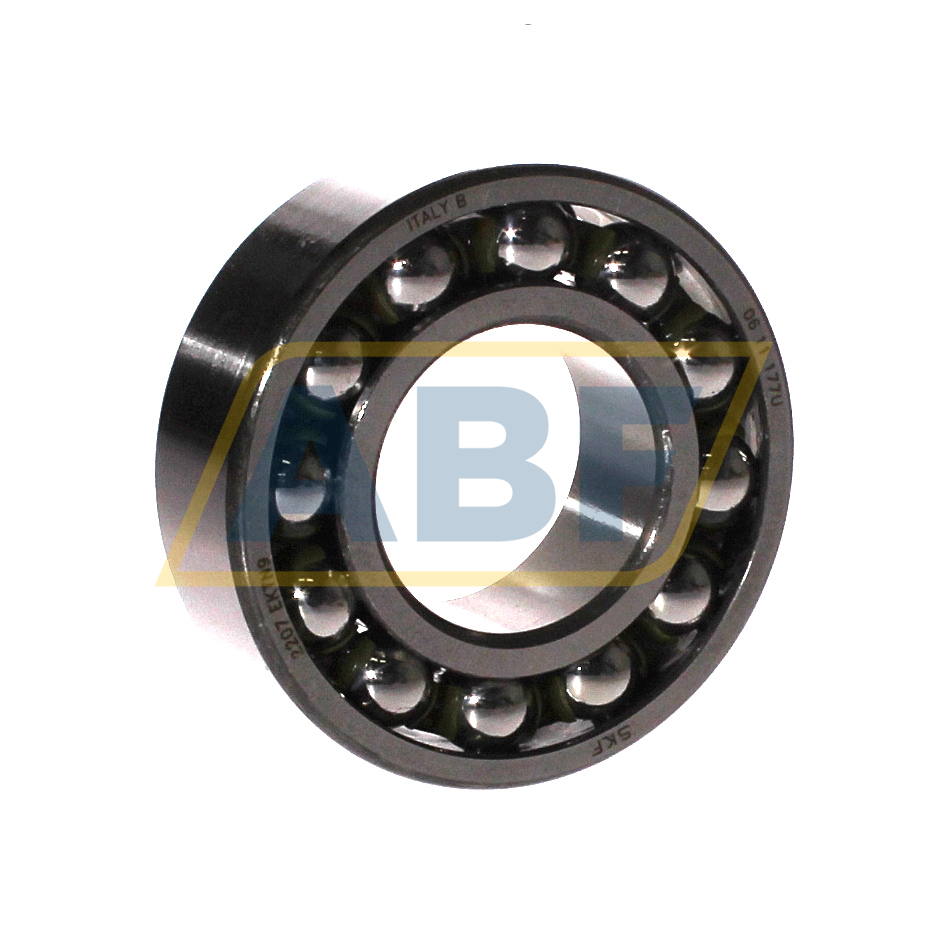 2207EKTN9 SKF
