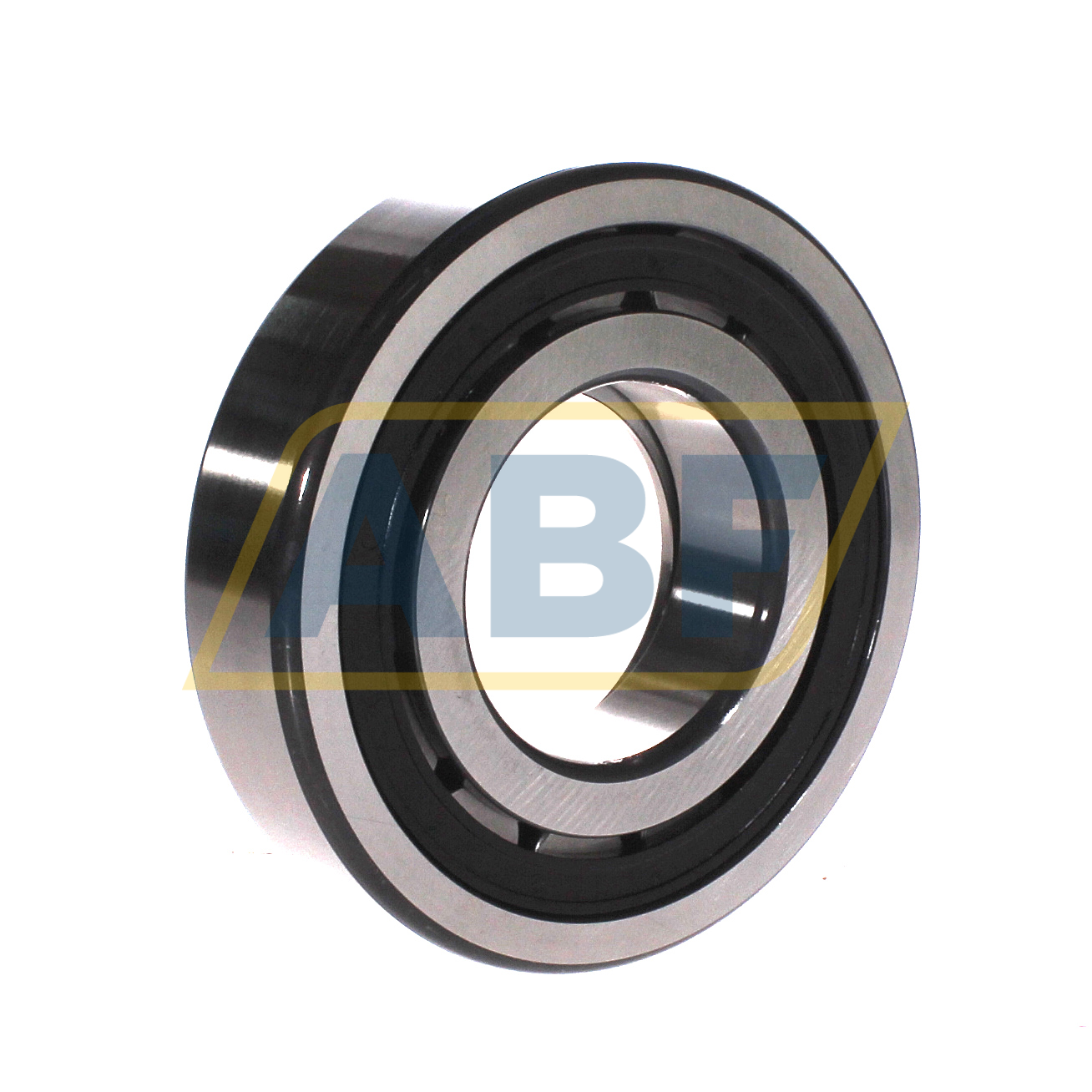 NUP313-E-XL-TVP2 FAG