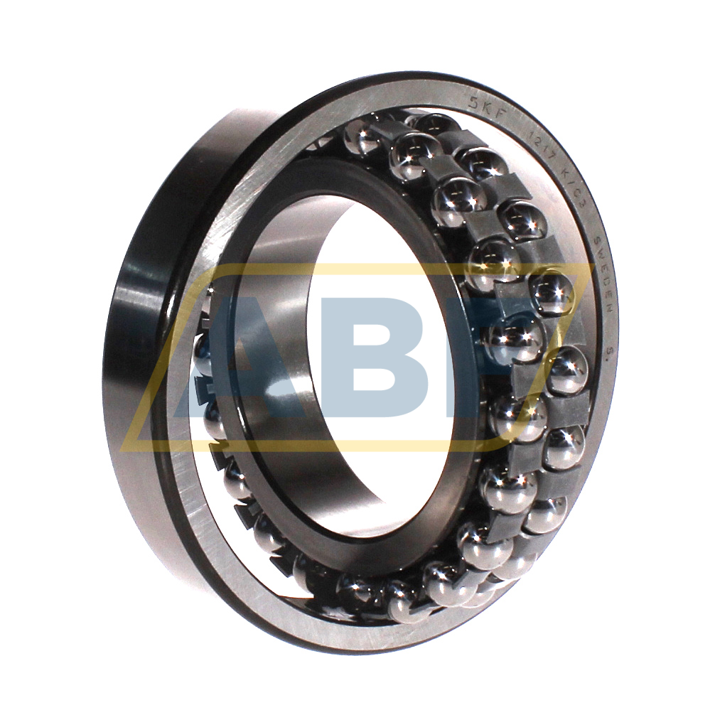 1217/C3 SKF