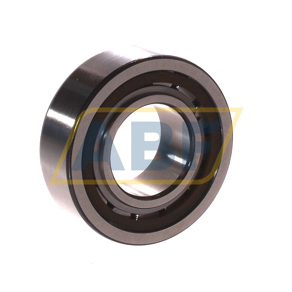 BC1-0313 SKF