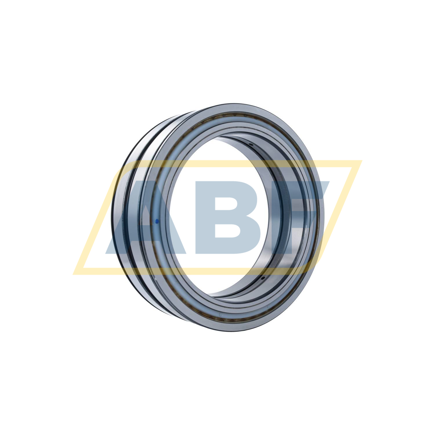 SL04200-D-PP-2NR INA