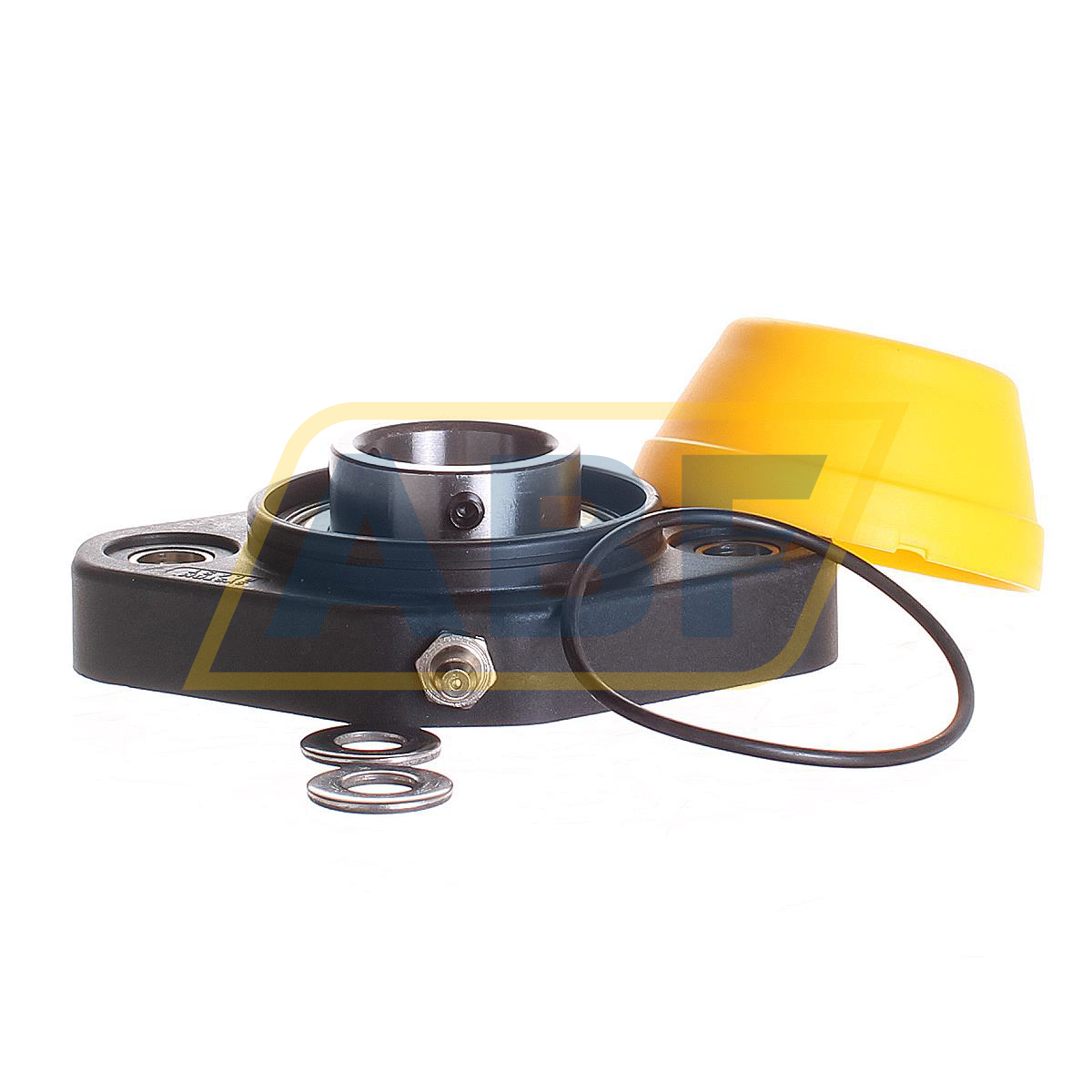 SUCFL206-623533 Neutral