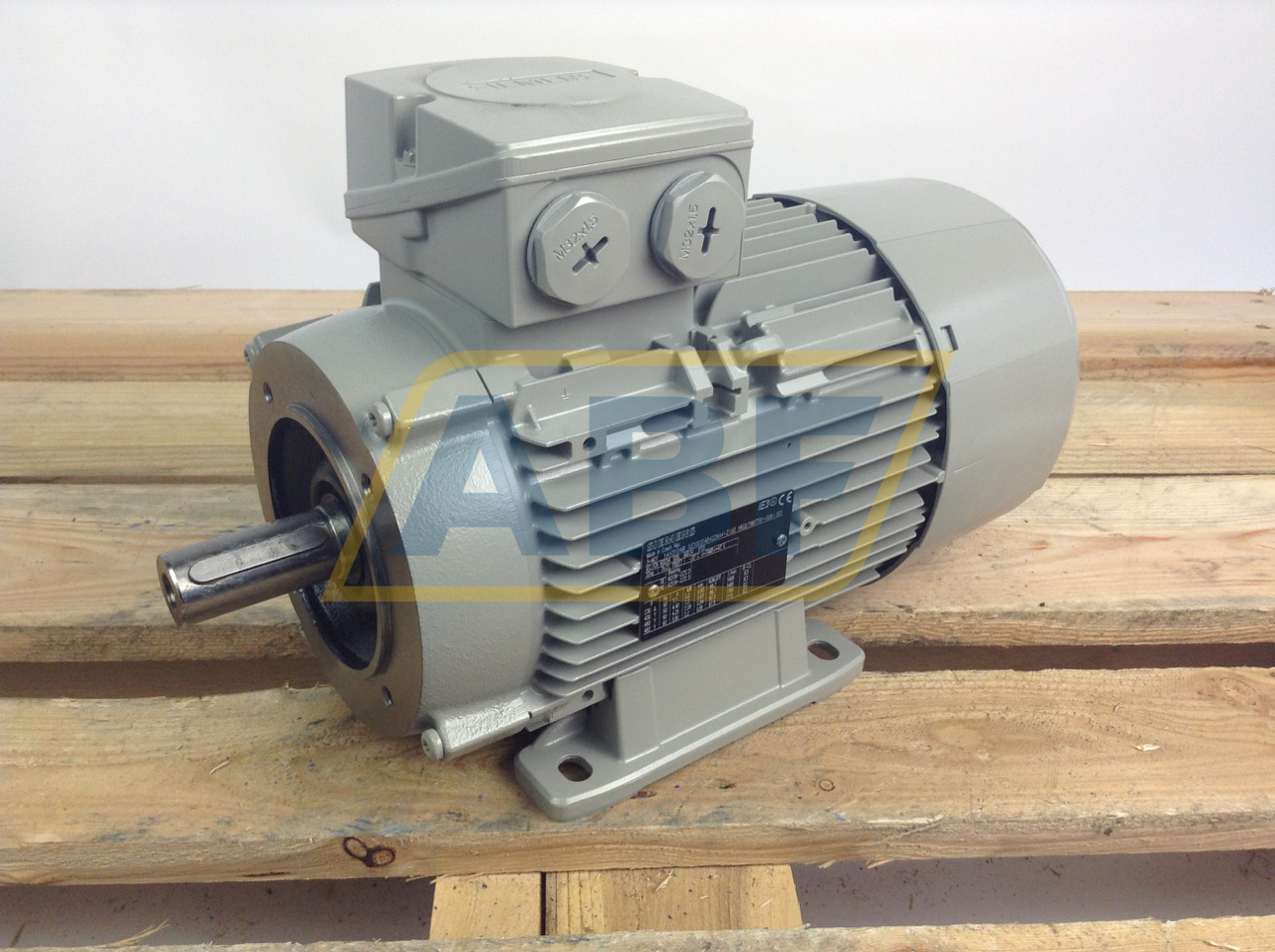 1LE1003-1AB42-2NA4 Siemens