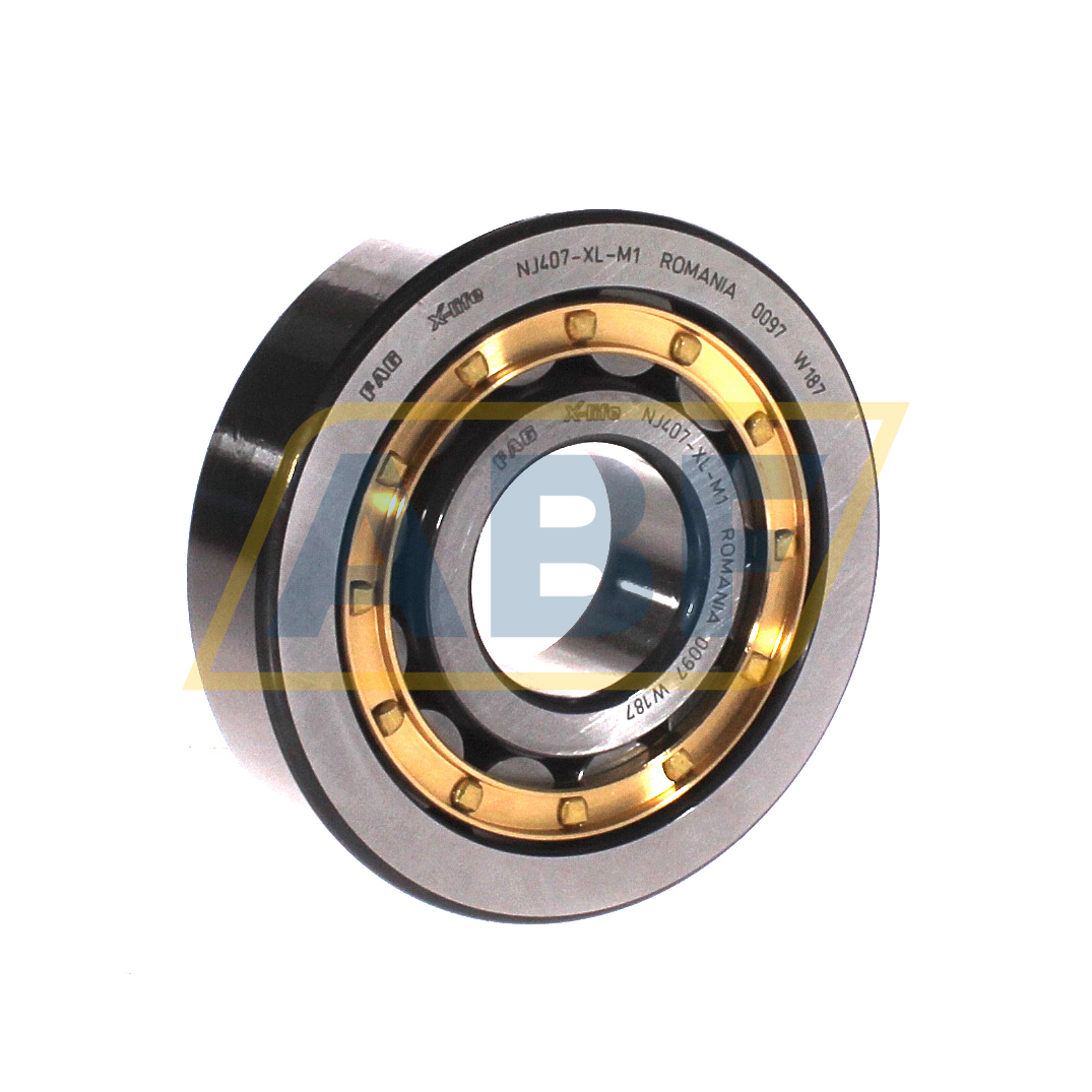 NJ407-XL-M1 FAG