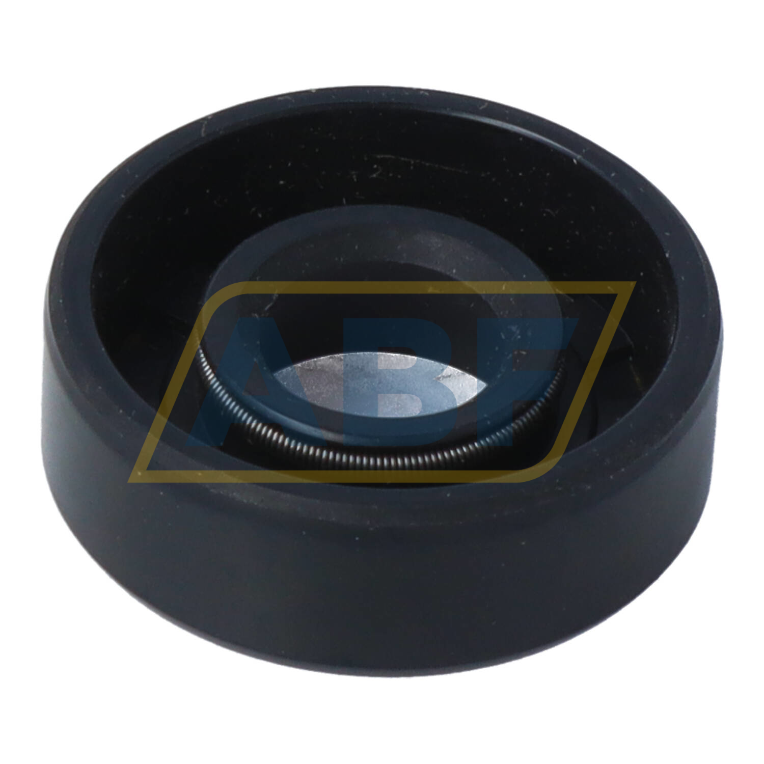 SC12X30X10 NAK Sealing Technologies