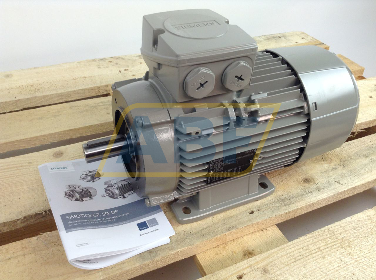 1LE1003-1AB52-2NA4 Siemens