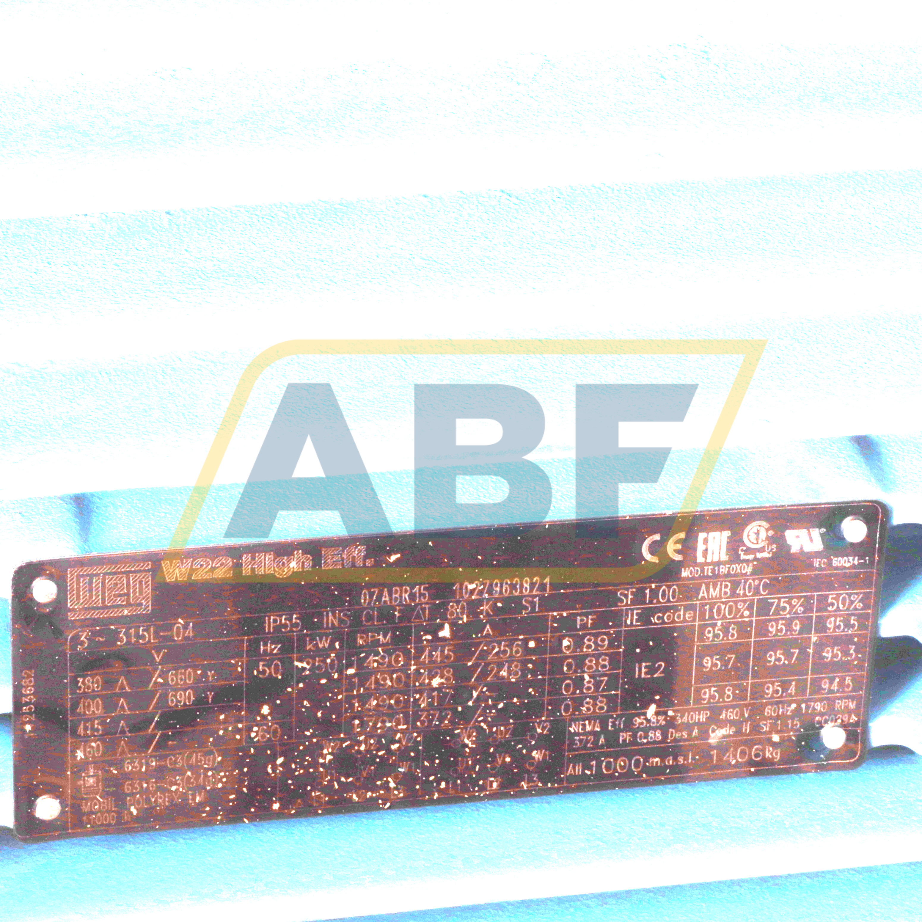 250K32CI2315L4B3 WEG