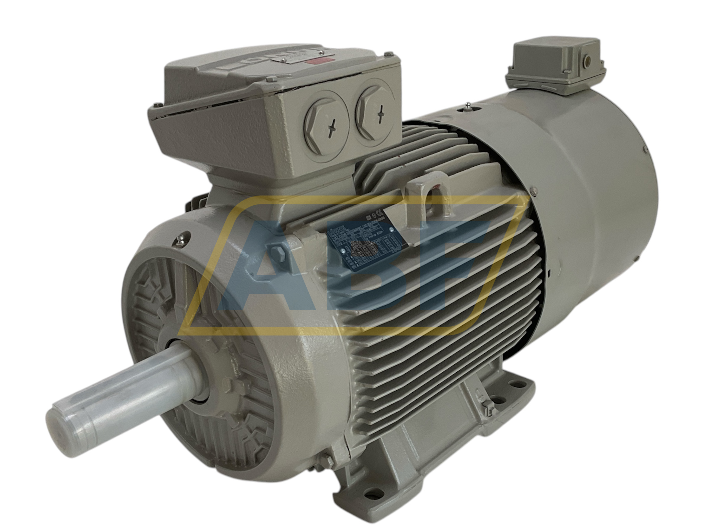 1TZ9503-1DB43-4AB4-Z Lönne