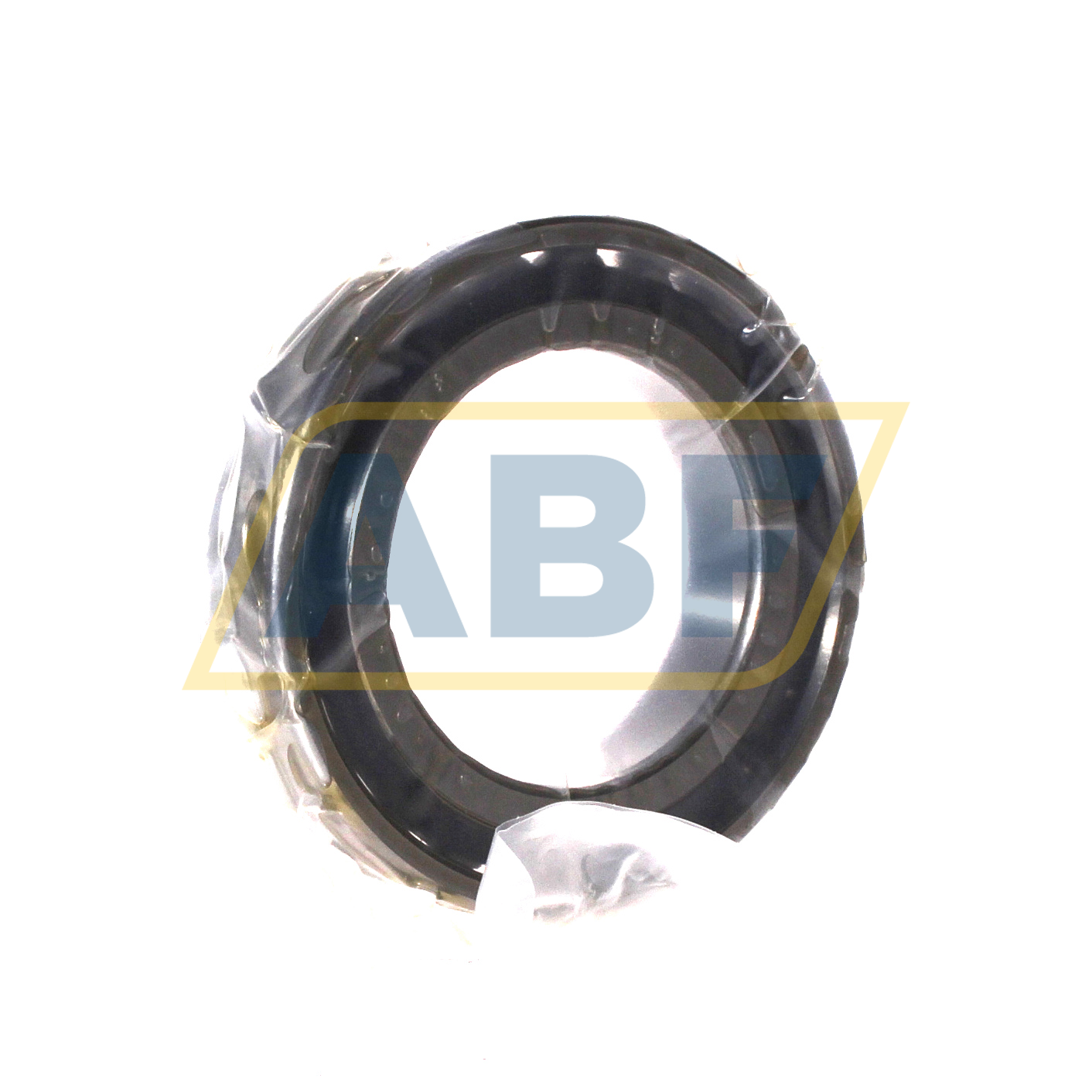 N1011-D-TVP-SP-XL FAG