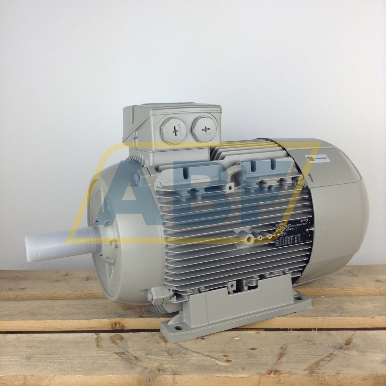 1LE1003-1DA43-4AA4 Siemens
