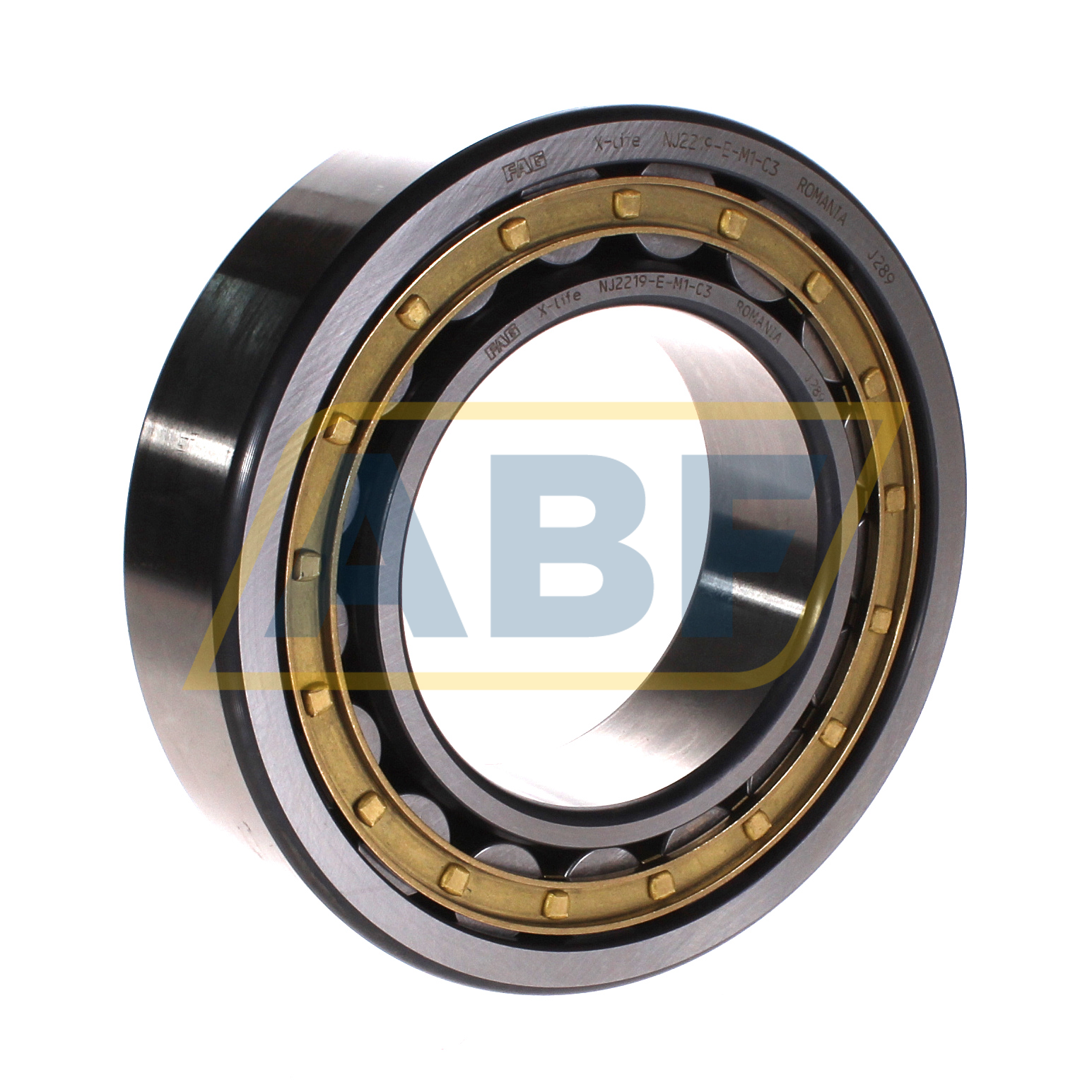 NJ2219-E-M1 FAG