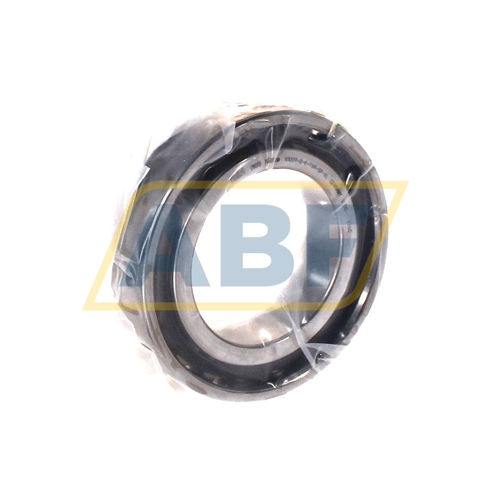 N1009-D-K-TVP-SP-XL FAG