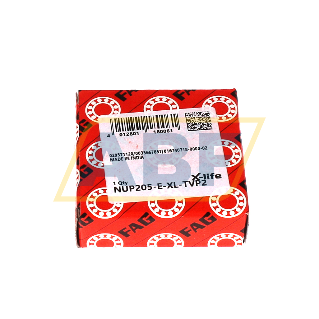 NUP205-E-XL-TVP2 FAG