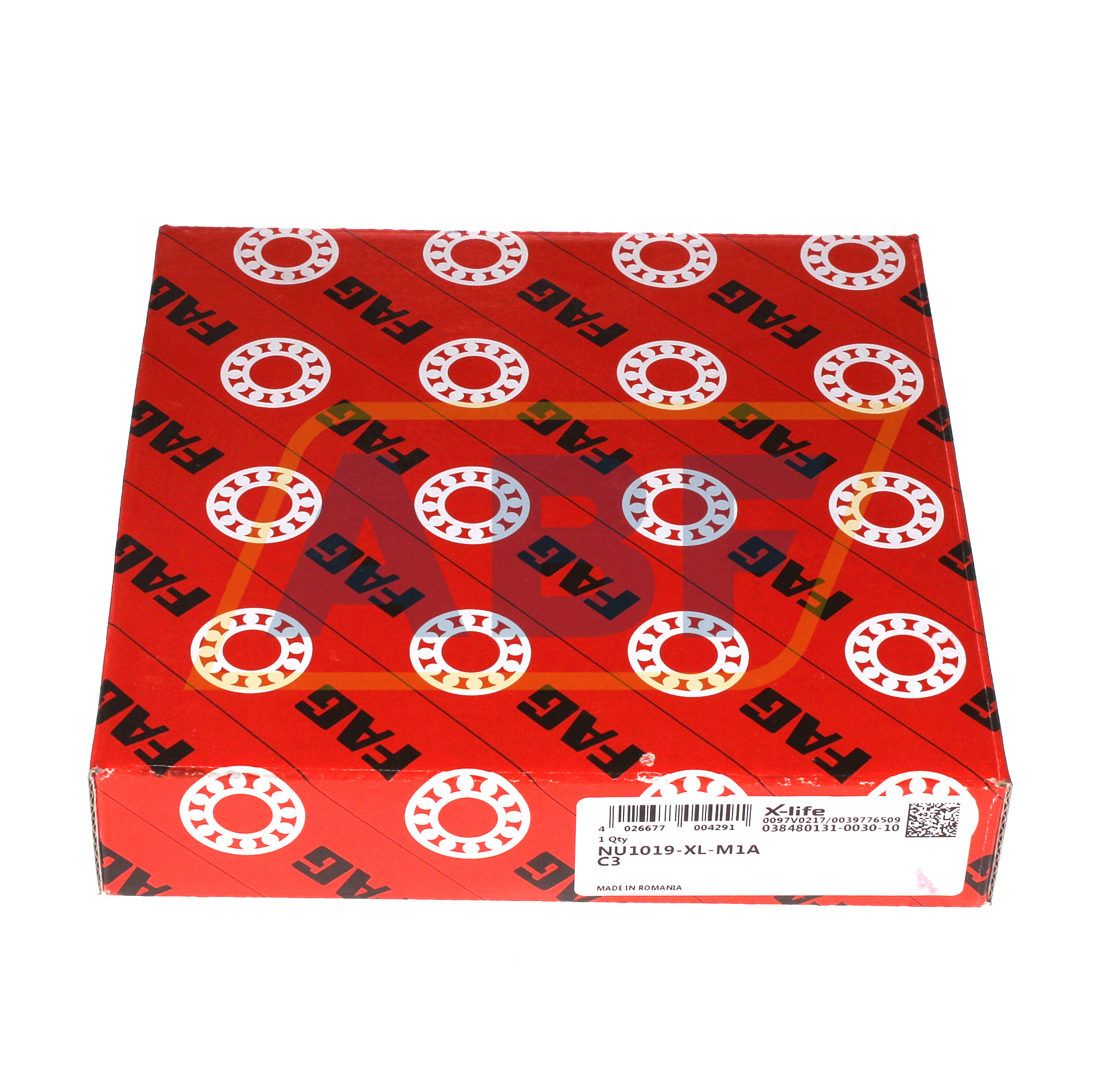 NU1019-XL-M1A-C3 FAG