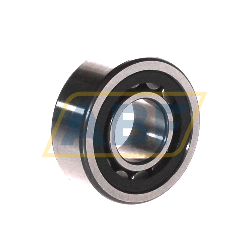 NU2204-E-XL-TVP2 FAG