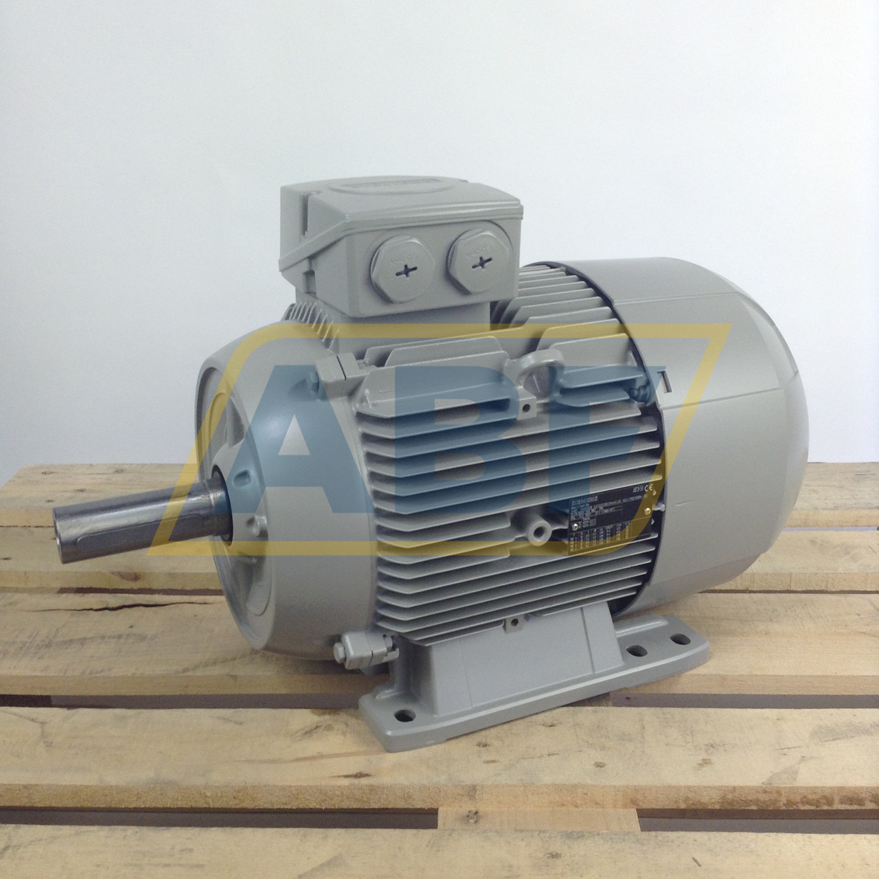 1LE1003-1DB23-4AA4 Siemens