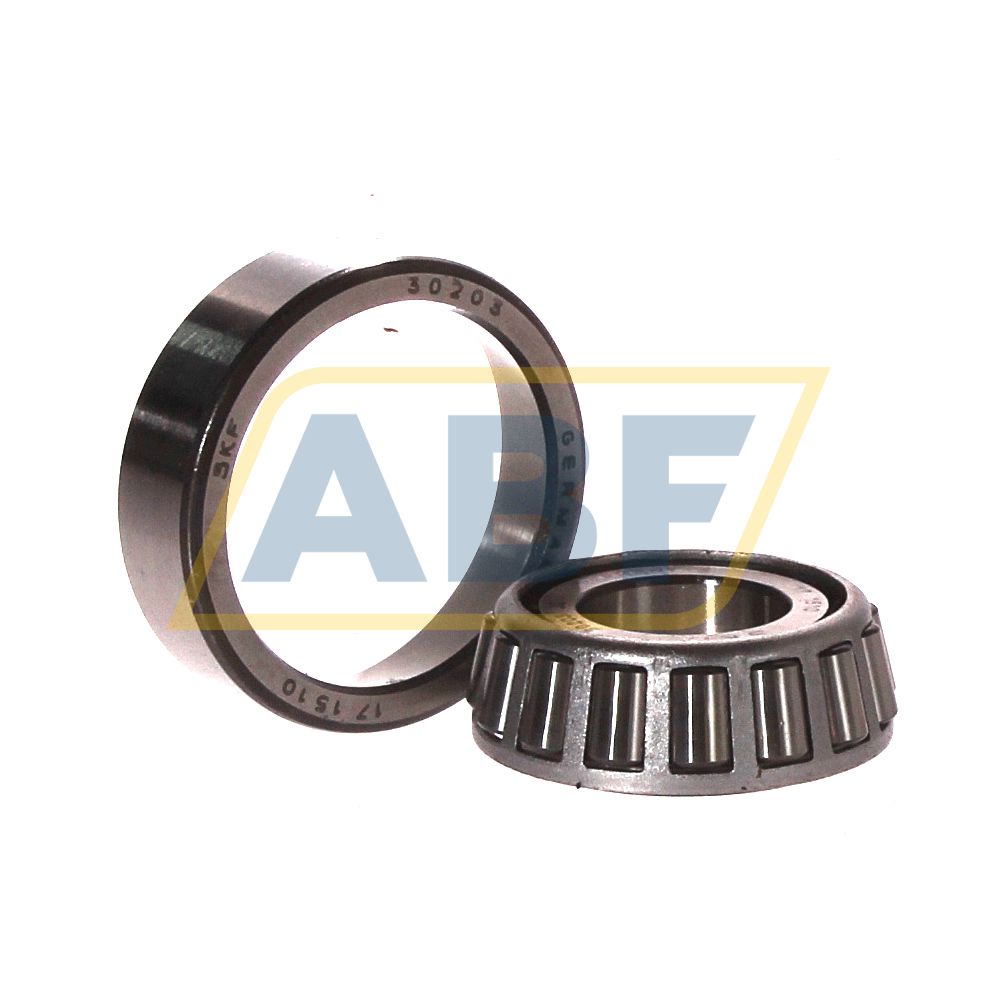 30203J2 SKF
