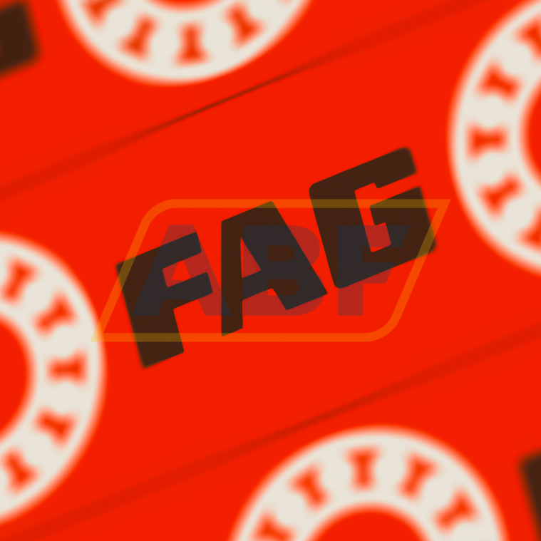 6004 FAG