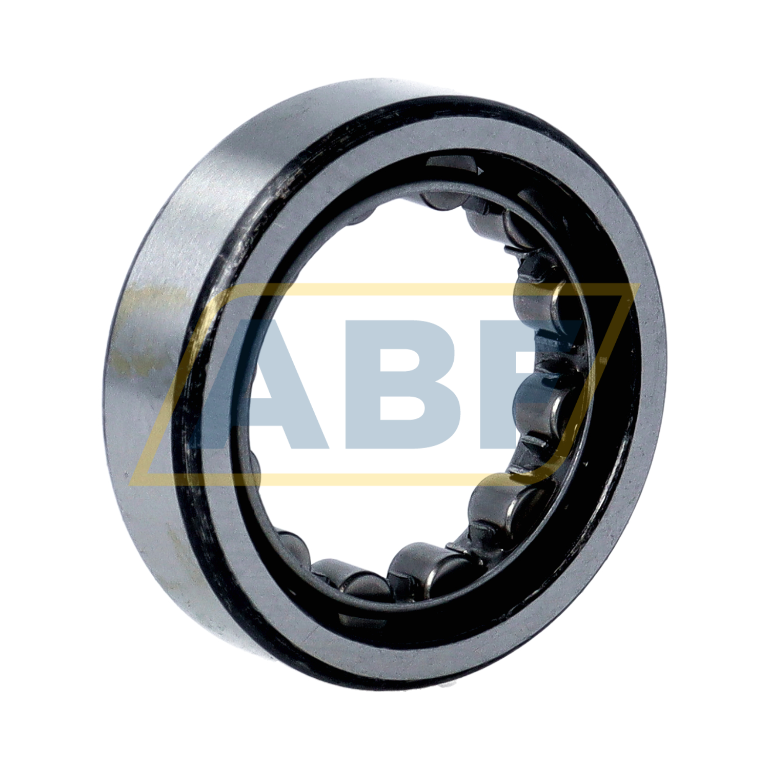 RNU205 IBC Bearings