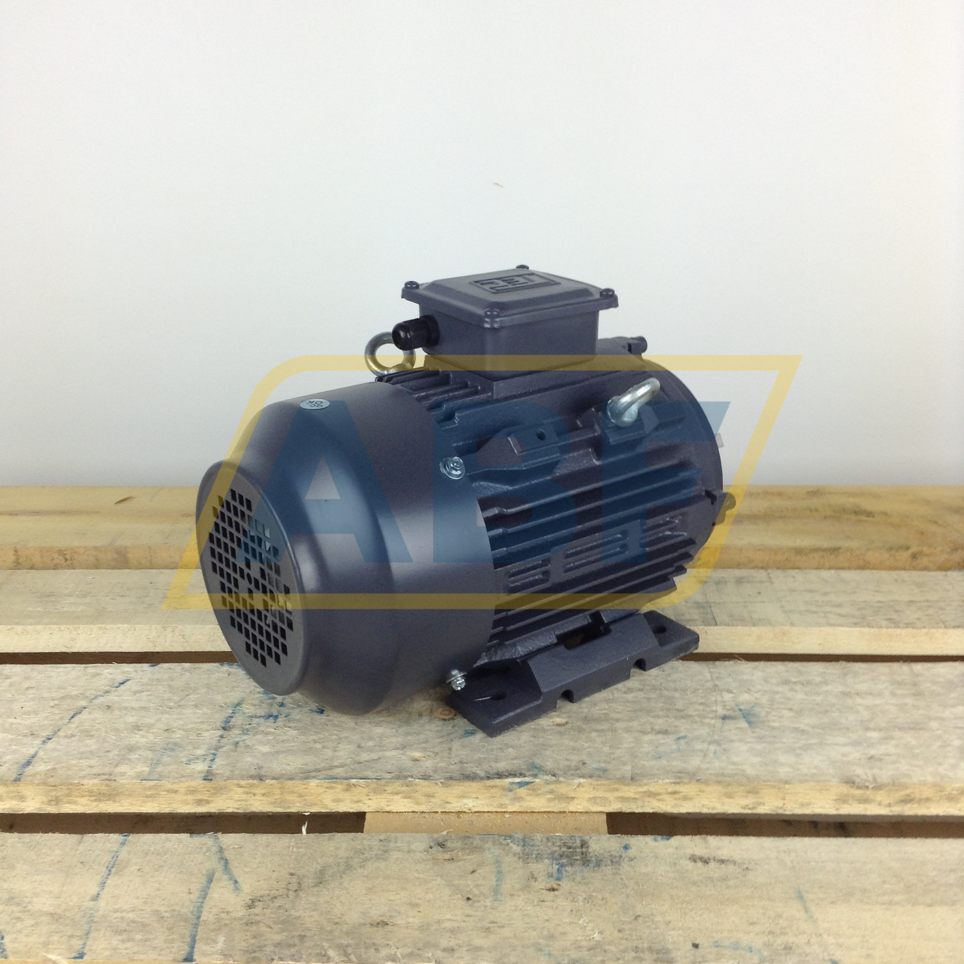 T2CR100L2-4B3 TEC Electric Motors