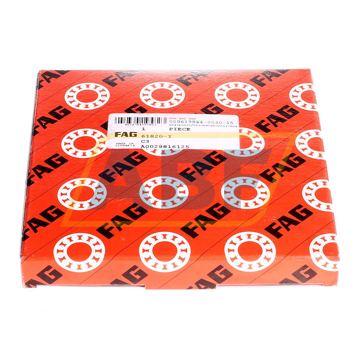 61820-Y FAG