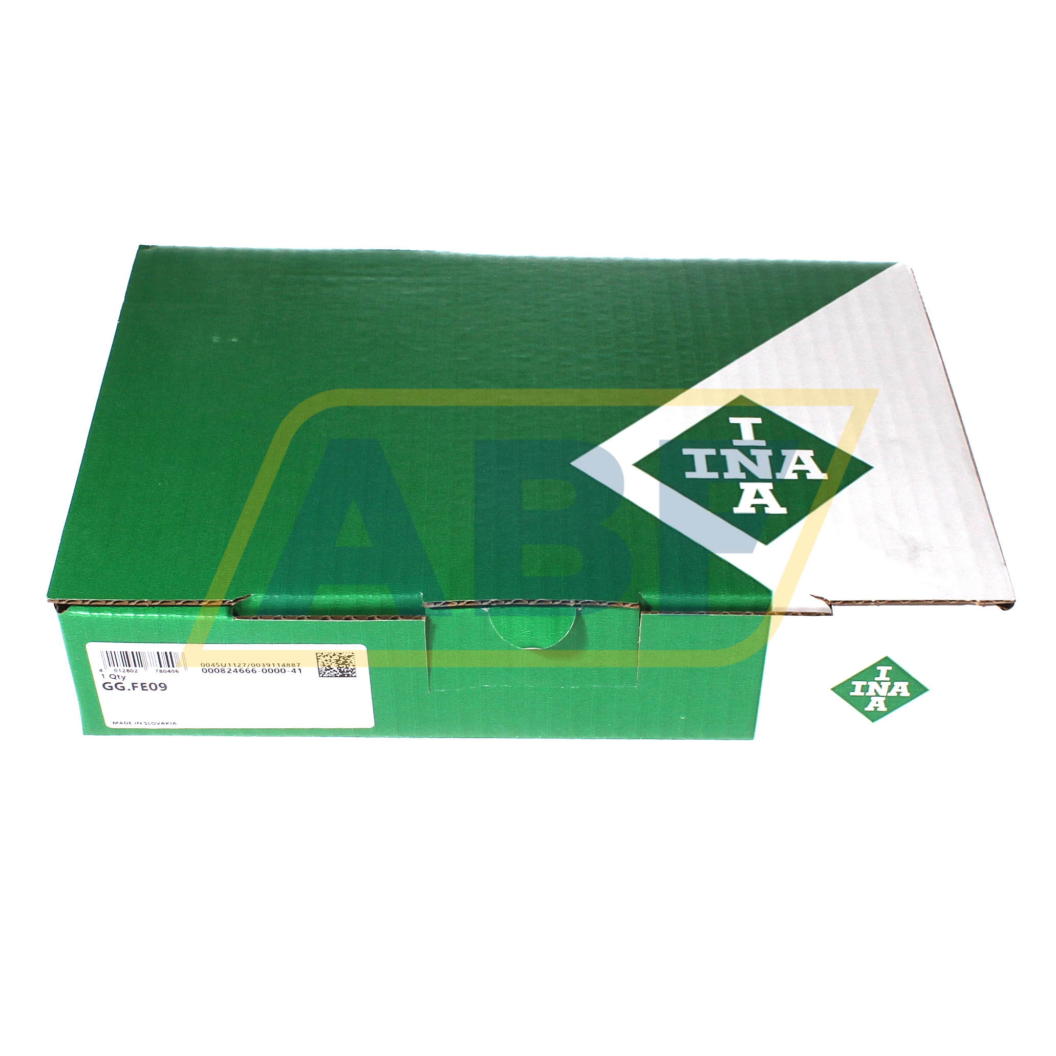 GG.FE09 INA