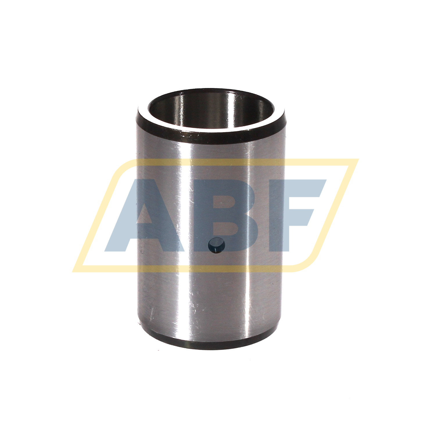 IR20X25X38,5-IS1-XL INA