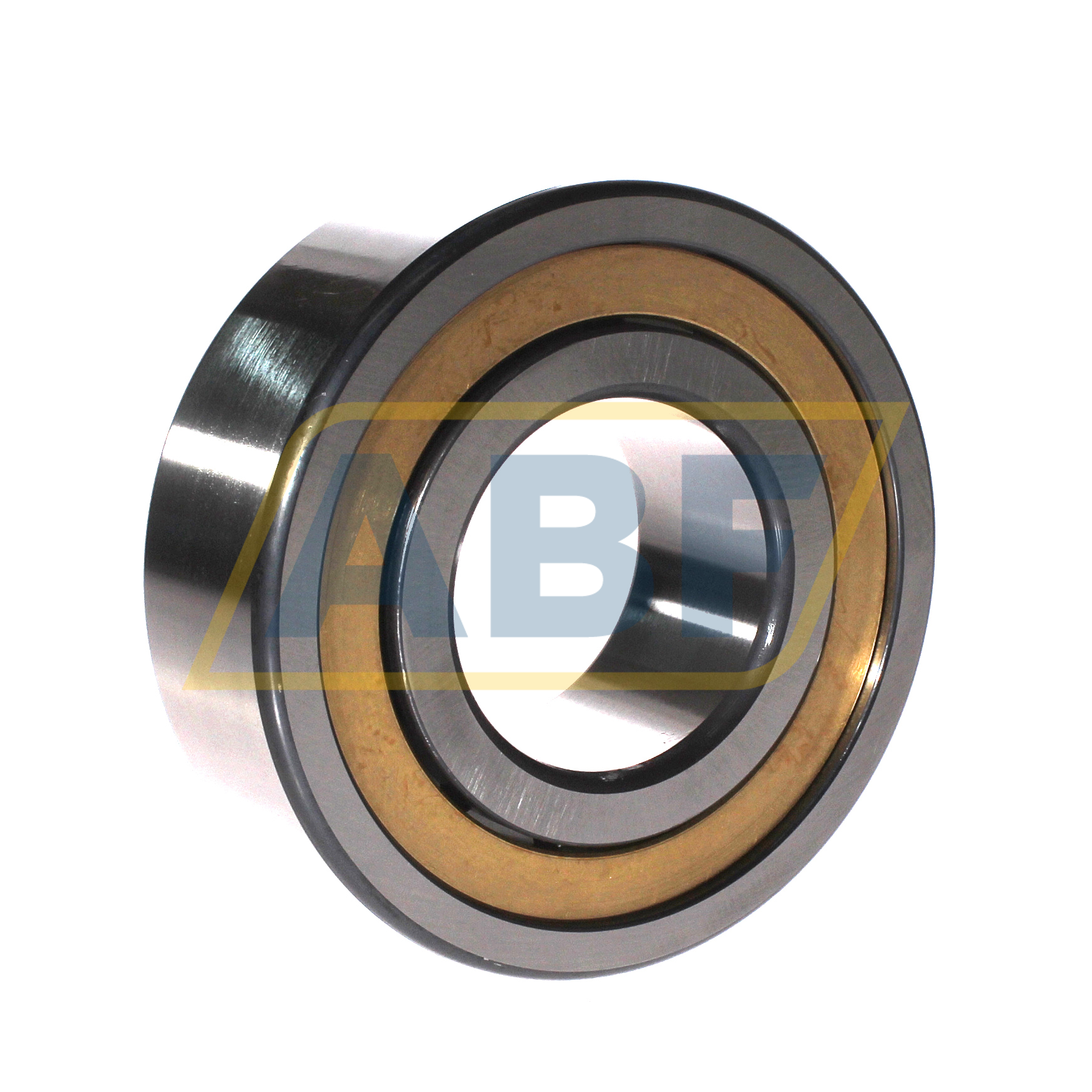 NJ2313-E-XL-M1A-C3 FAG