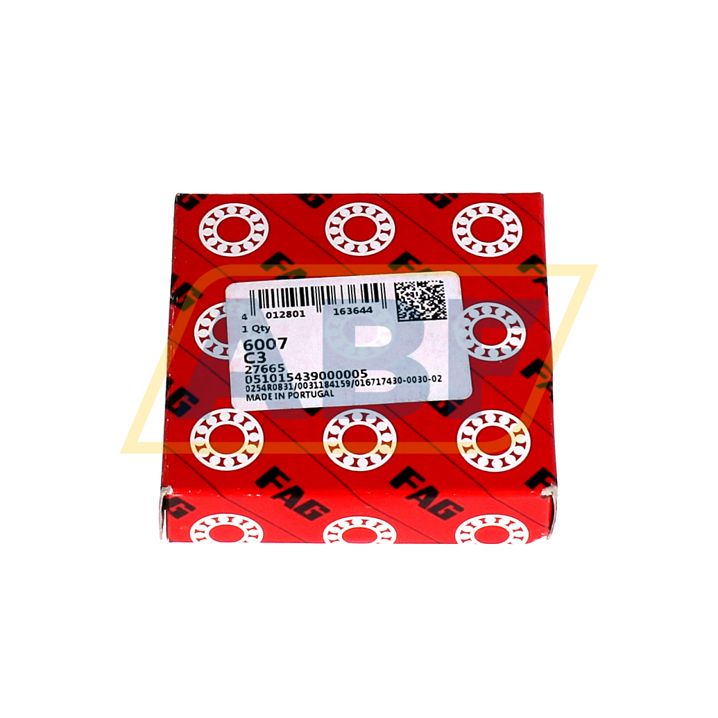 6007-C3 FAG