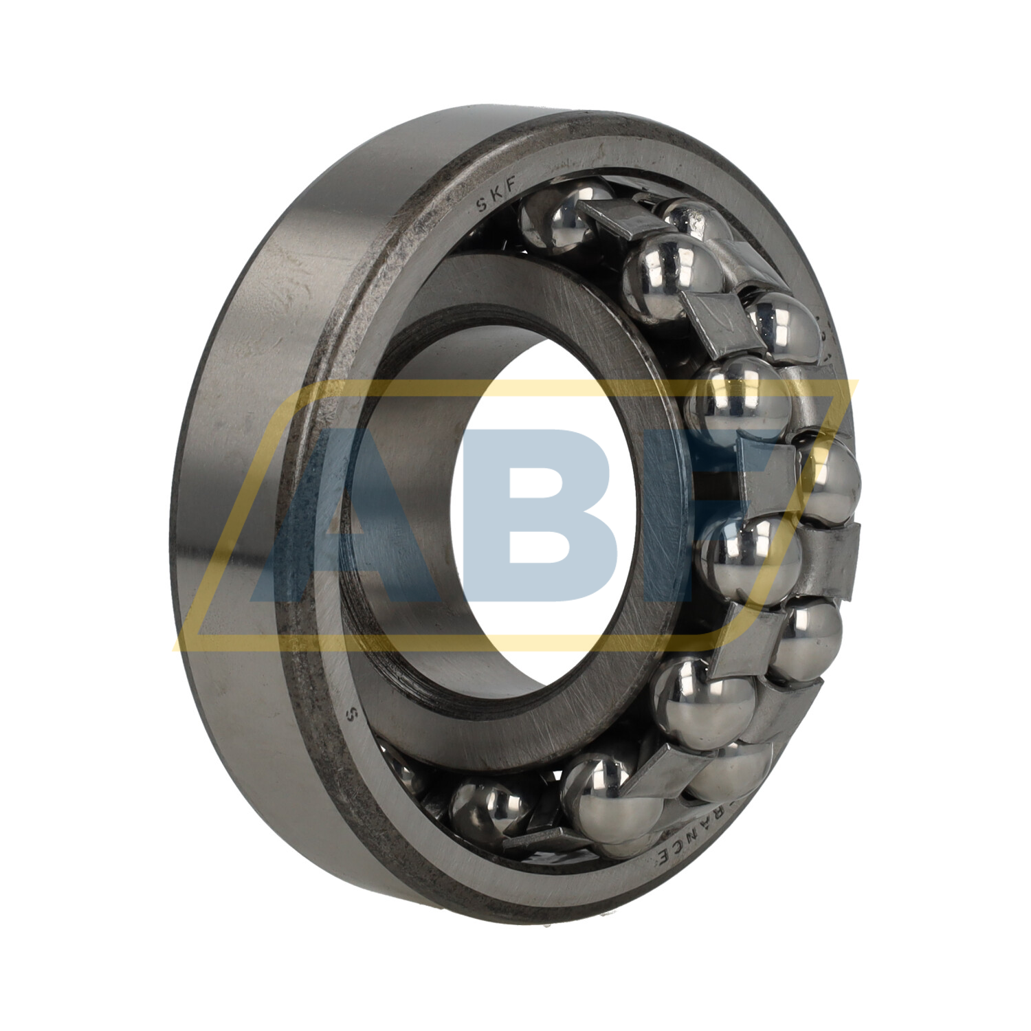 1310 SKF