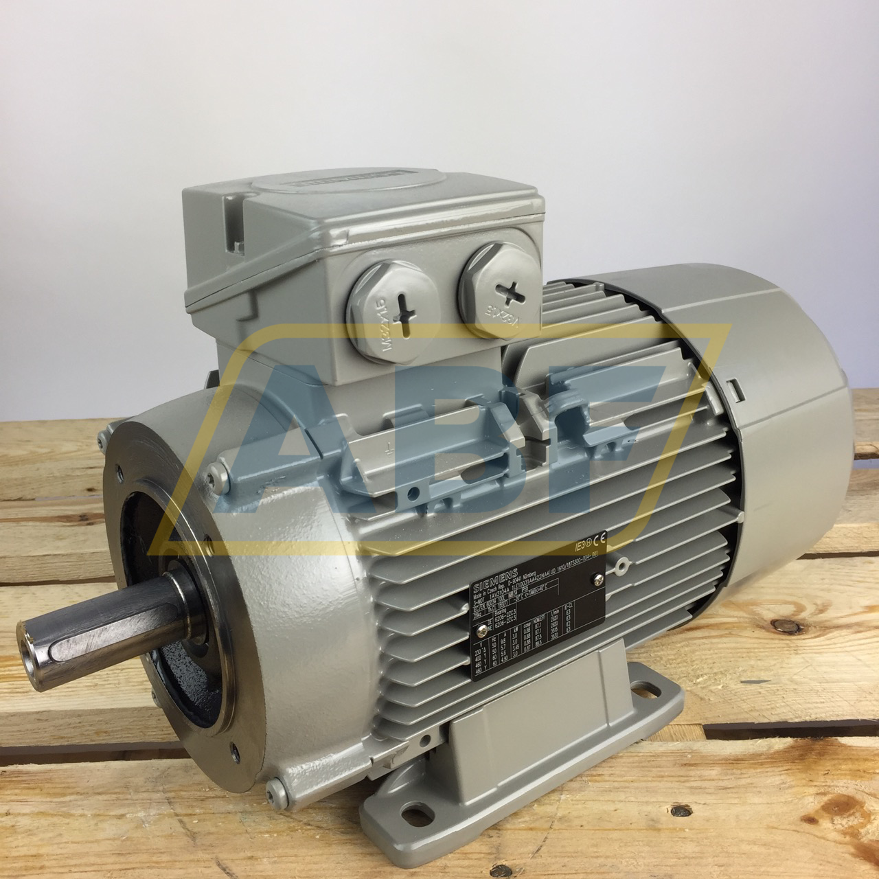 1LE1003-1AA42-2NA4 Siemens