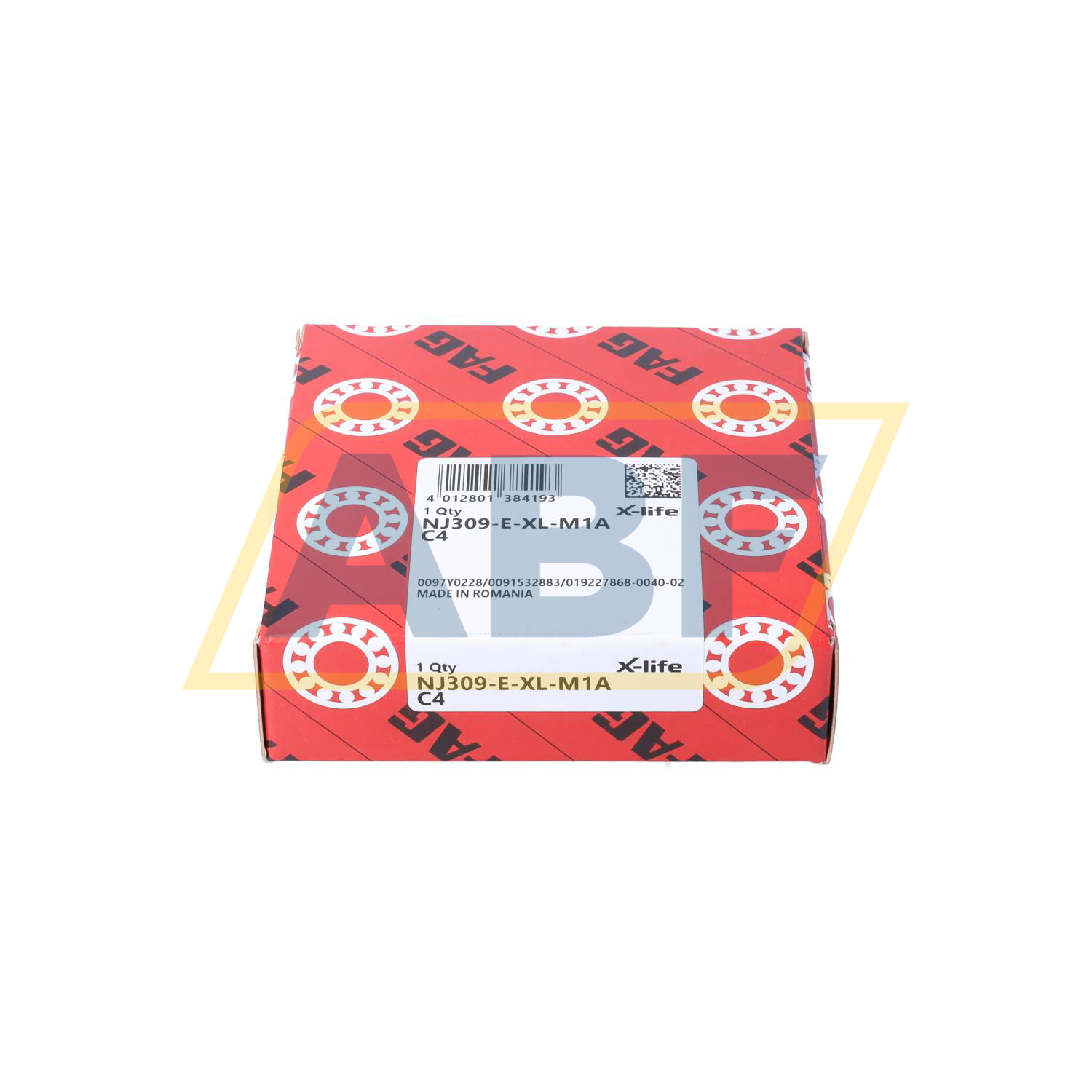 NJ309-E-XL-M1A-C4 FAG