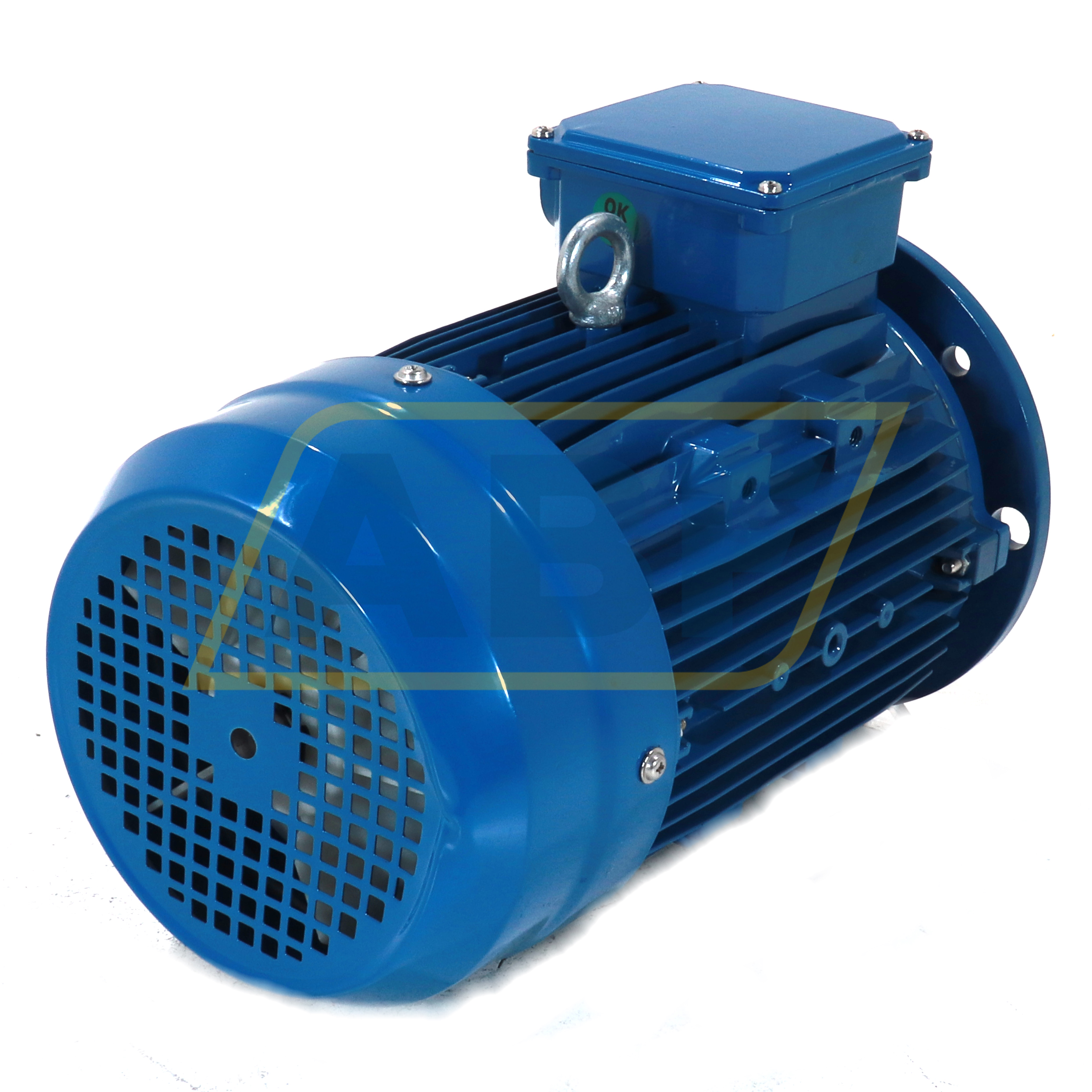 IE1-MSE100L1-4-B5R Cemp