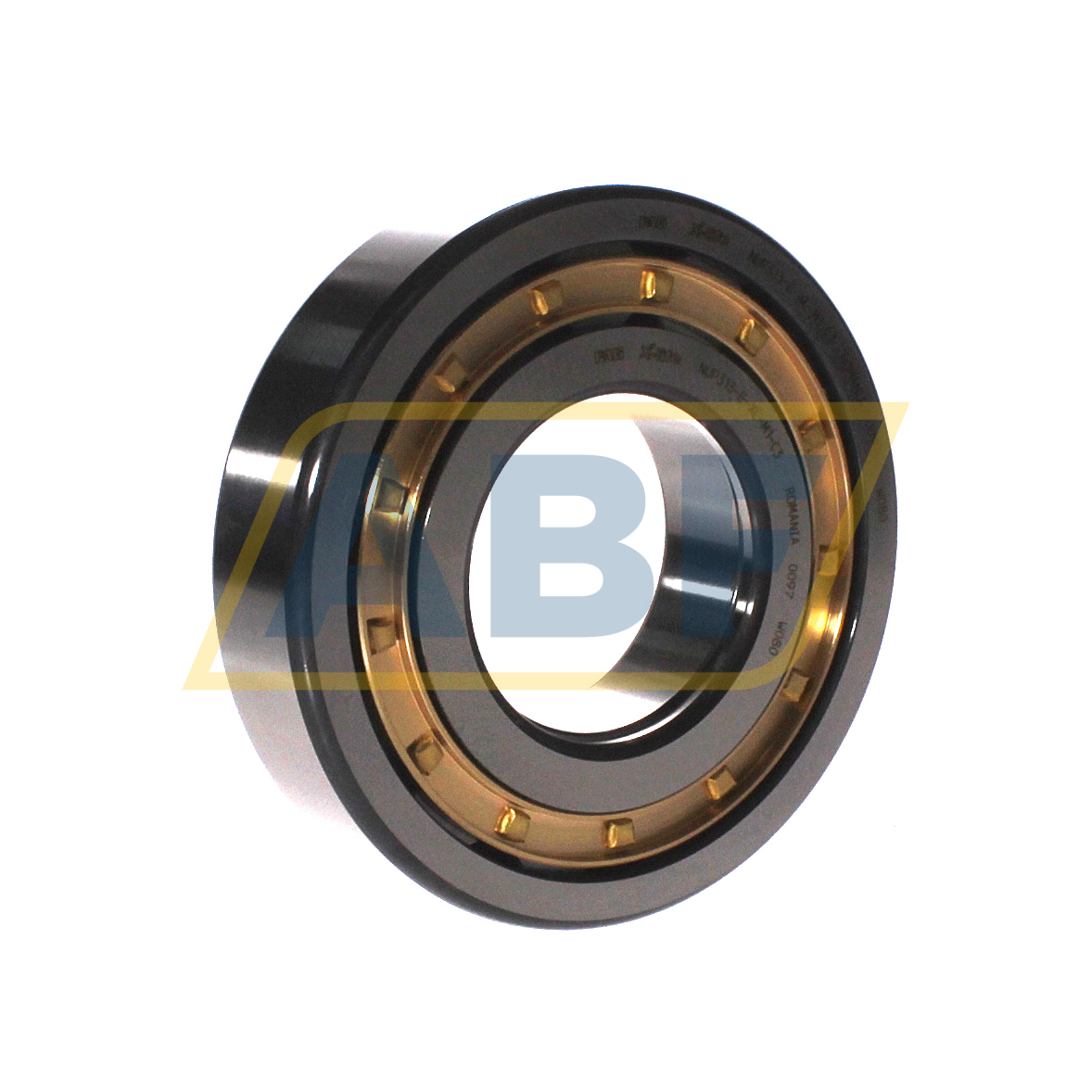 NUP313-E-XL-M1-C3 FAG