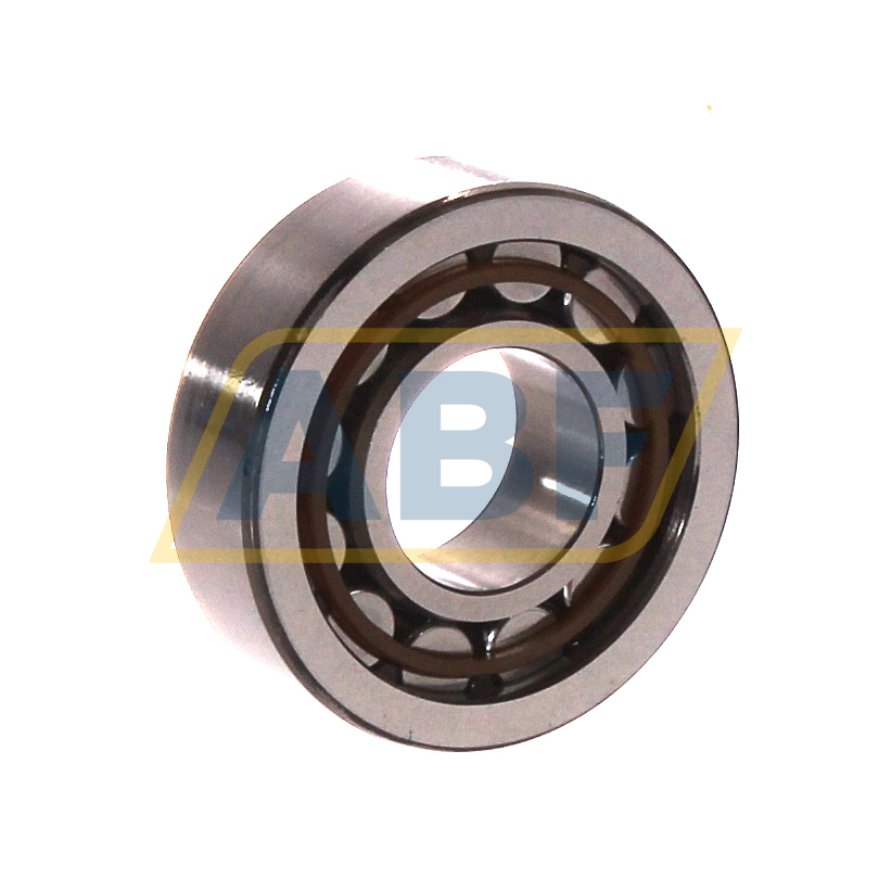 BC1-0538 SKF