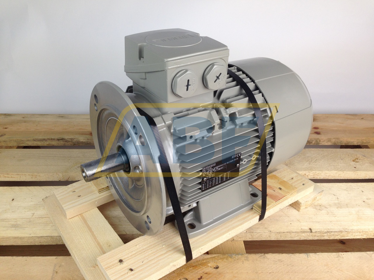 1LE1003-1BA23-4JA4 Siemens