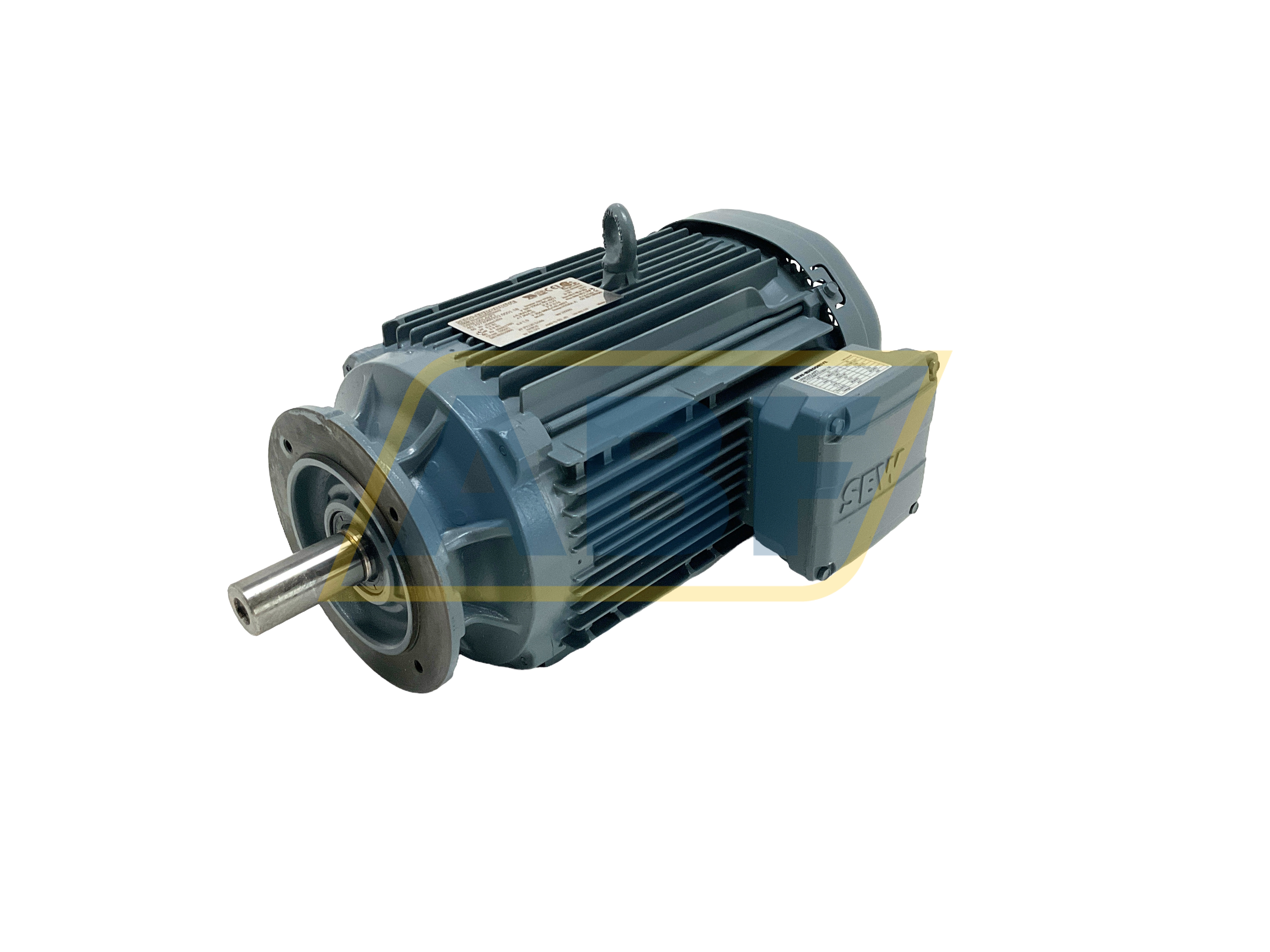 DRN100L4/FT-B14 SEW-EURODRIVE