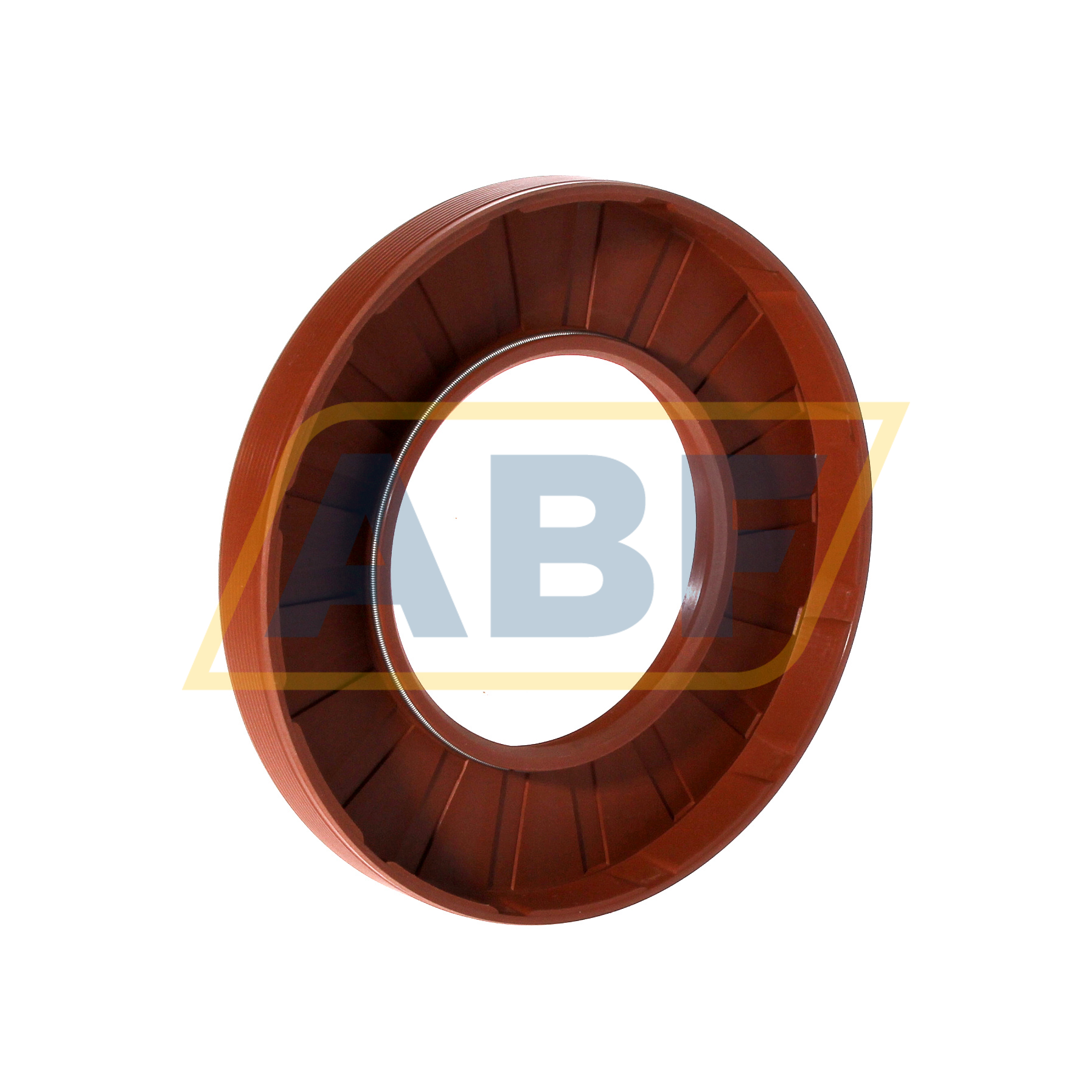 55X100X12HMSA10V SKF