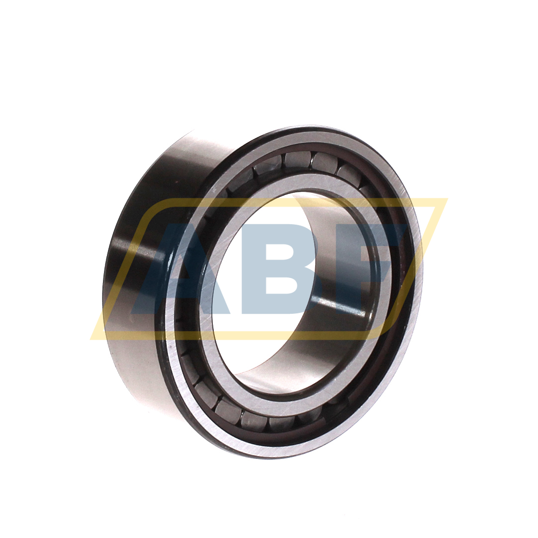 SL183009-A-XL-C3 INA