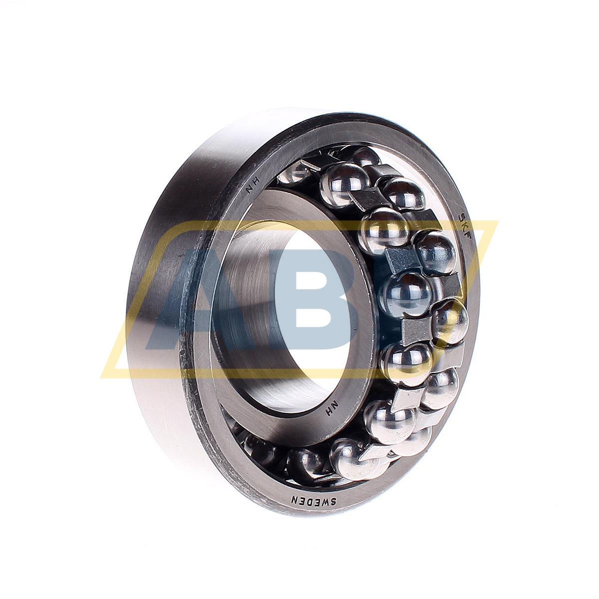 1309K SKF