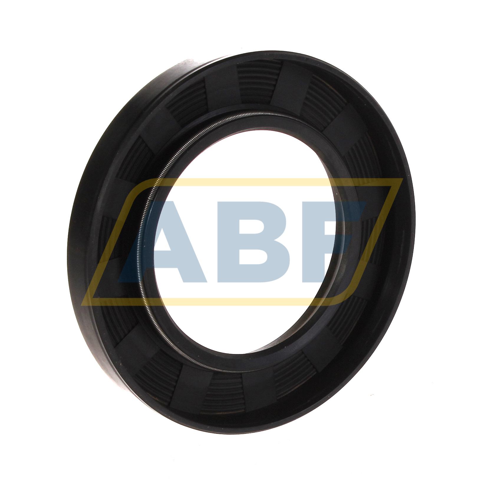 SC60X100X13 NAK Sealing Technologies