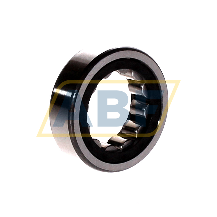 RNU204-E-XL-TVP2 FAG