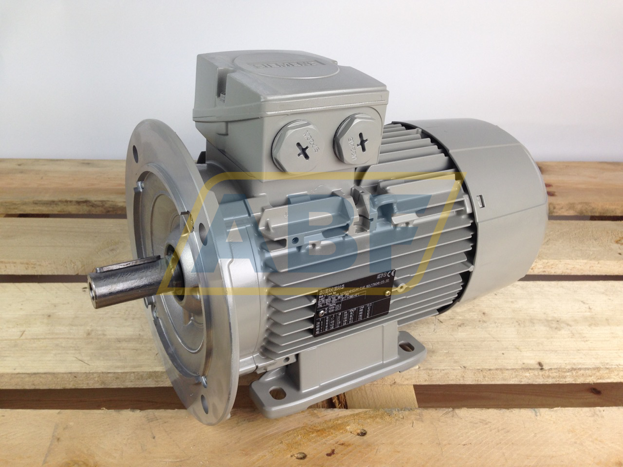 1LE1003-1AB42-2JA4 Siemens