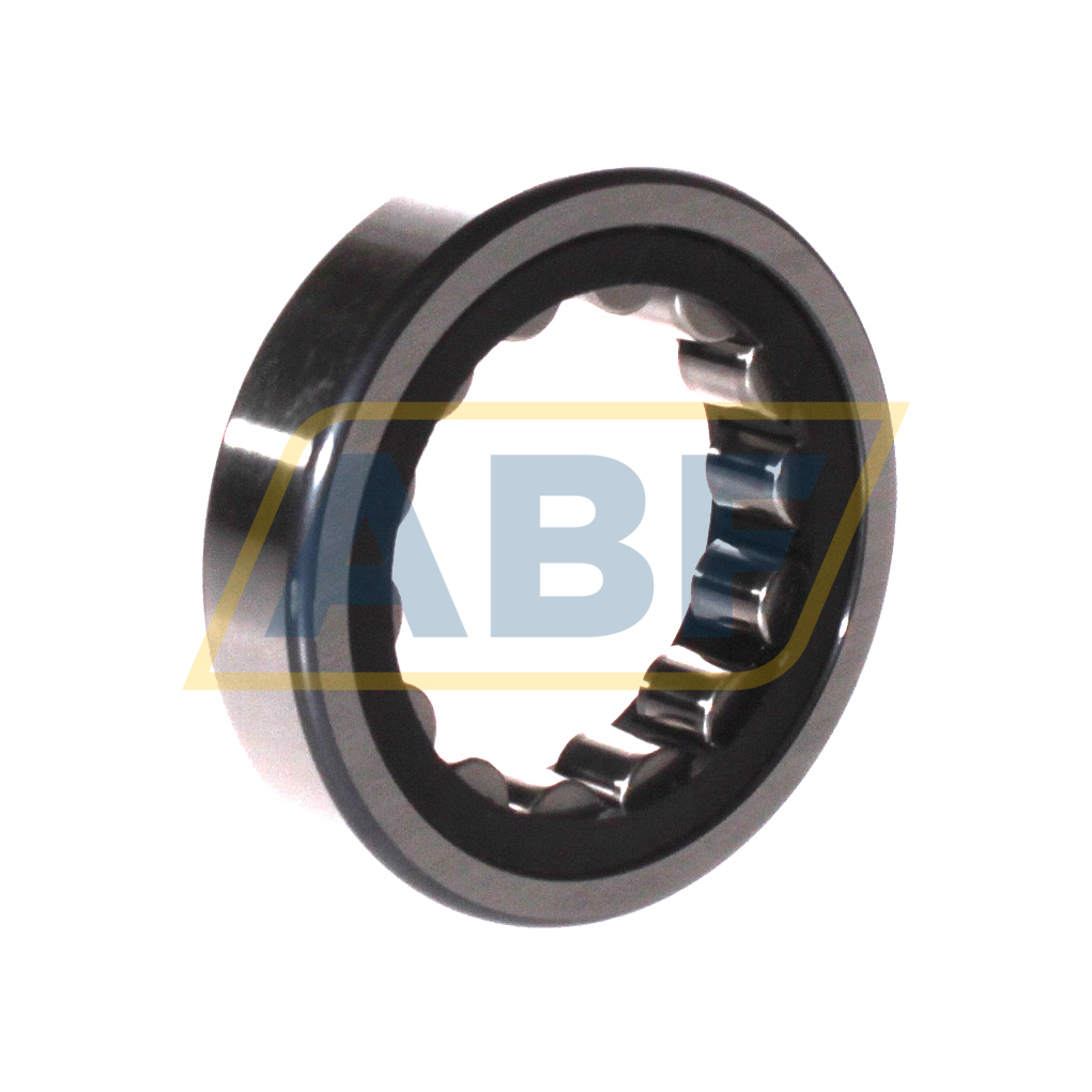 RNU207-E-XL-TVP2 FAG