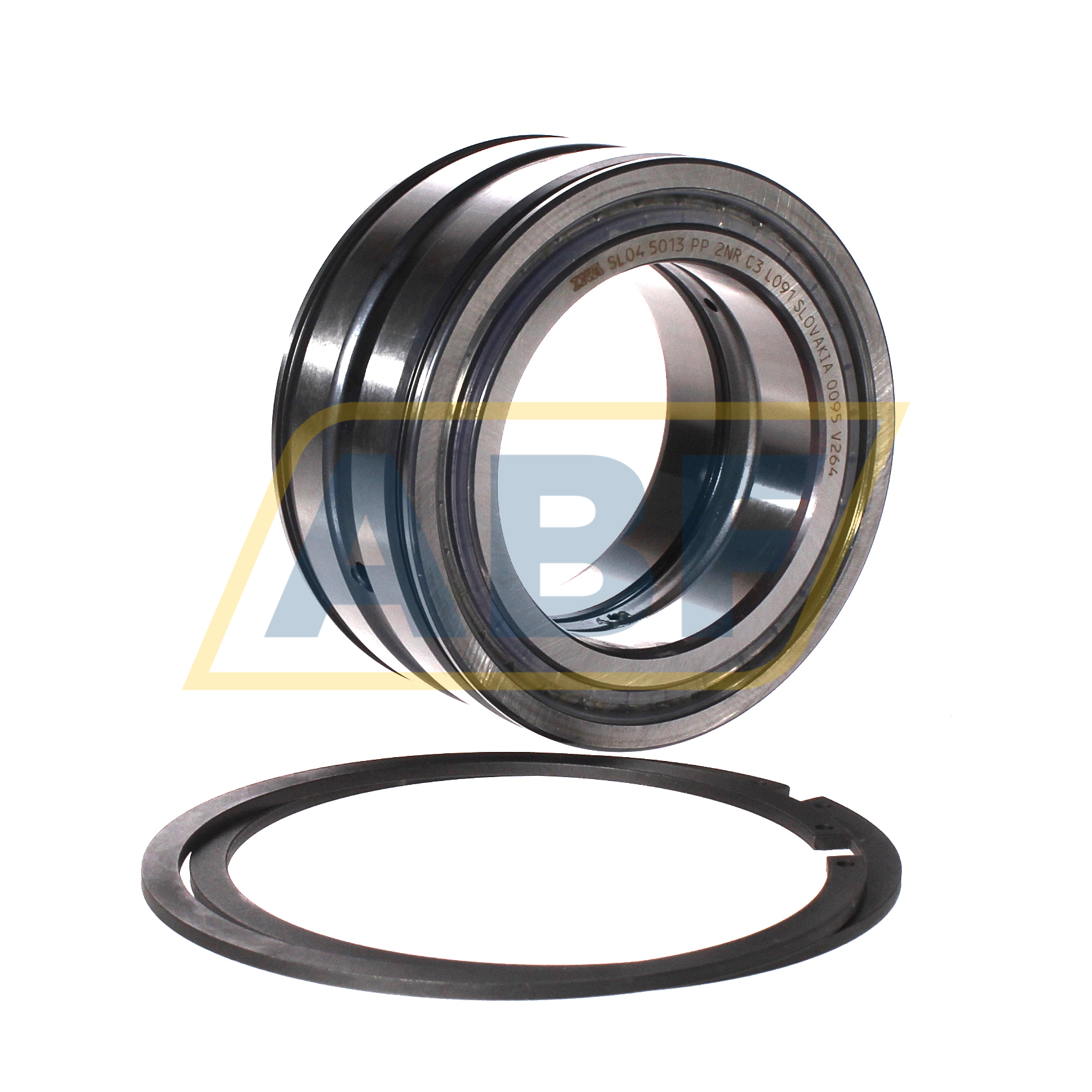 SL045013-PP-2NR-C3-L091 INA