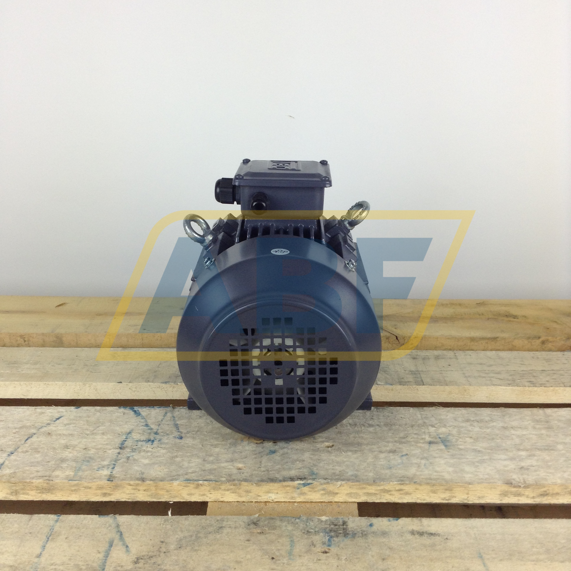 T2CR100L2-4B3 TEC Electric Motors
